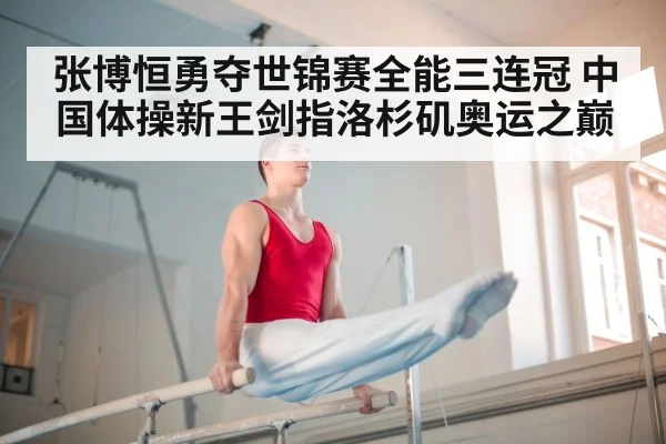 gymnastics parallel bars