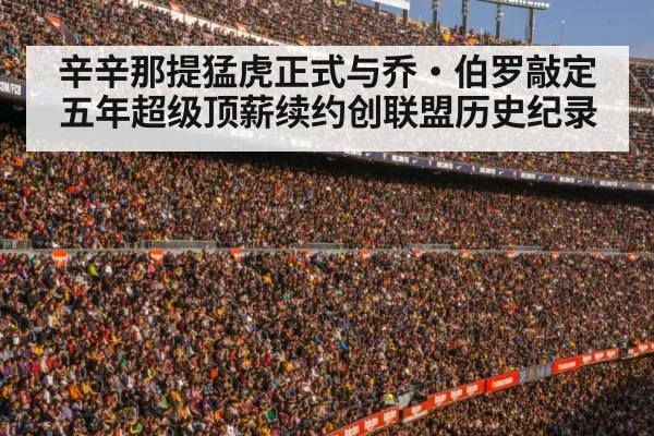 football stadium crowd